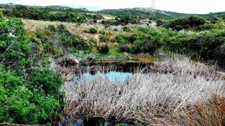 Eucaliptus Farm Retreat Guest House Santa Teresa Gallura Exterior photo