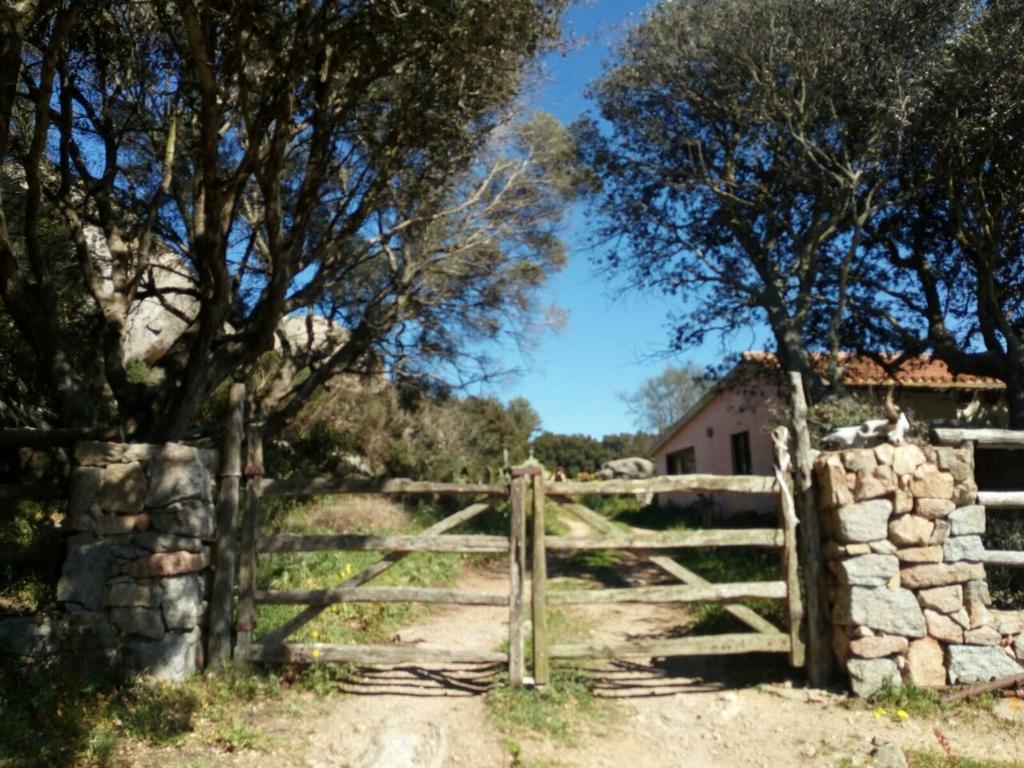 Eucaliptus Farm Retreat Guest House Santa Teresa Gallura Exterior photo